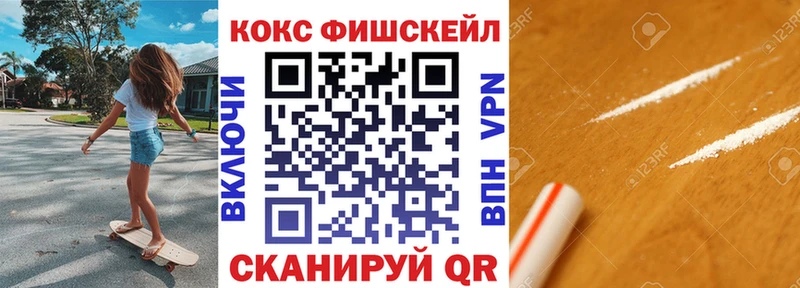 Cocaine Fish Scale  Купить закладки  Меленки 
