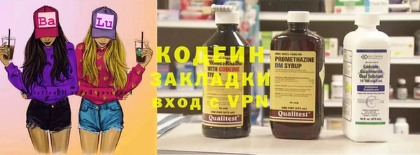 сатива Корсаков