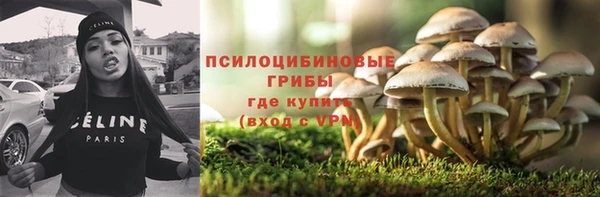 сатива Корсаков