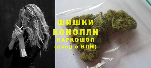 сатива Корсаков