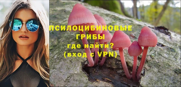 МДПВ Коряжма