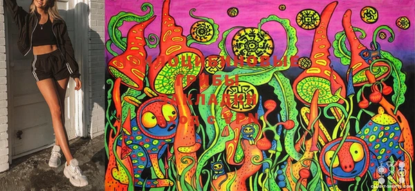 MDMA Premium VHQ Козельск