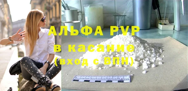 сатива Корсаков