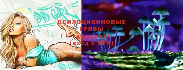 MDMA Premium VHQ Козельск
