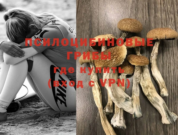 сатива Корсаков