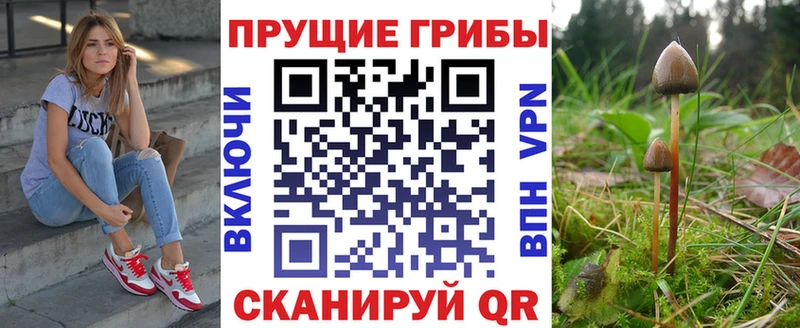 Купить закладки  Меленки  Псилоцибиновые грибы Cubensis 
